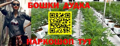 ешки Кинель