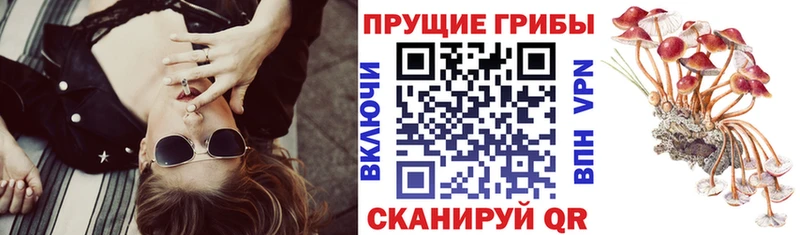 продажа наркотиков  Бирск  ссылка на мегу рабочий сайт  Псилоцибиновые грибы Magic Shrooms 