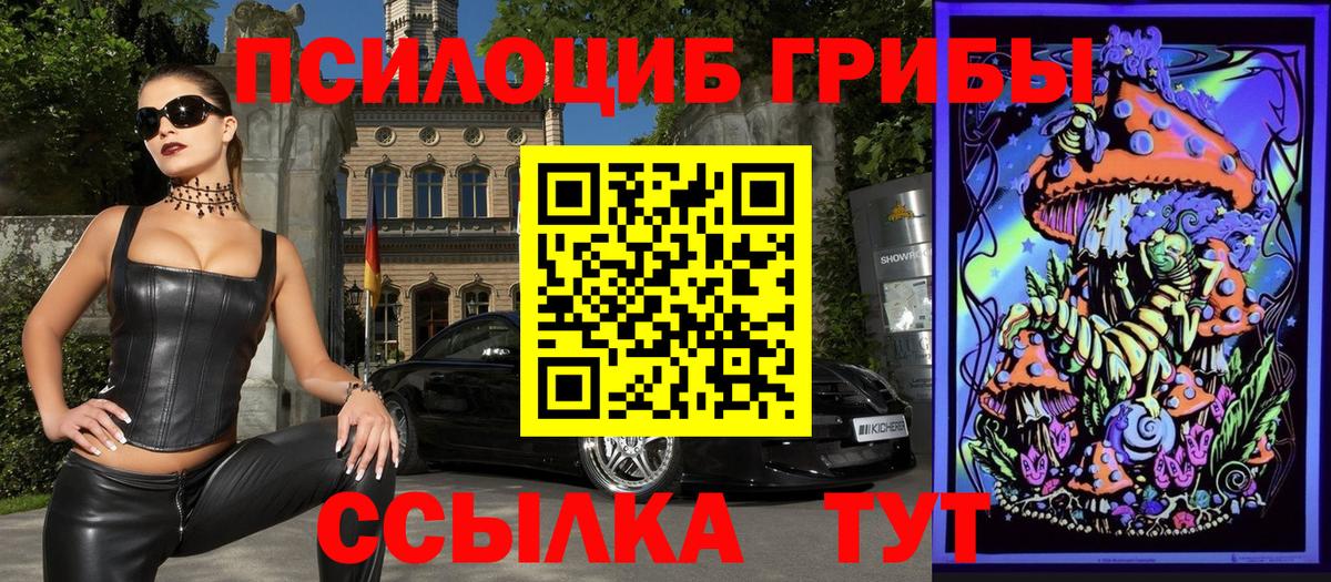 Бирск  Галлюциногенные грибы Psilocybe  Вход с VPN  Псилоцибиновые грибы Psilocybe 
