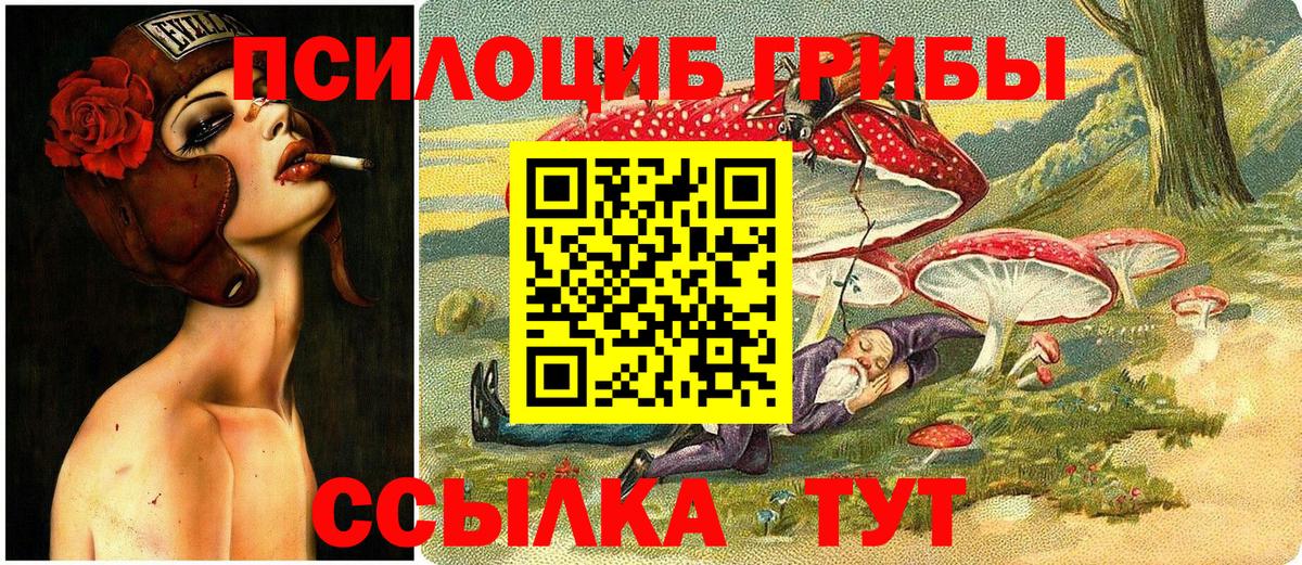 Галлюциногенные грибы Psilocybe Бирск